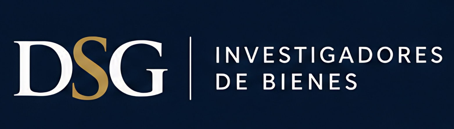 Logo oficial de DSG Investigadores de Bienes
