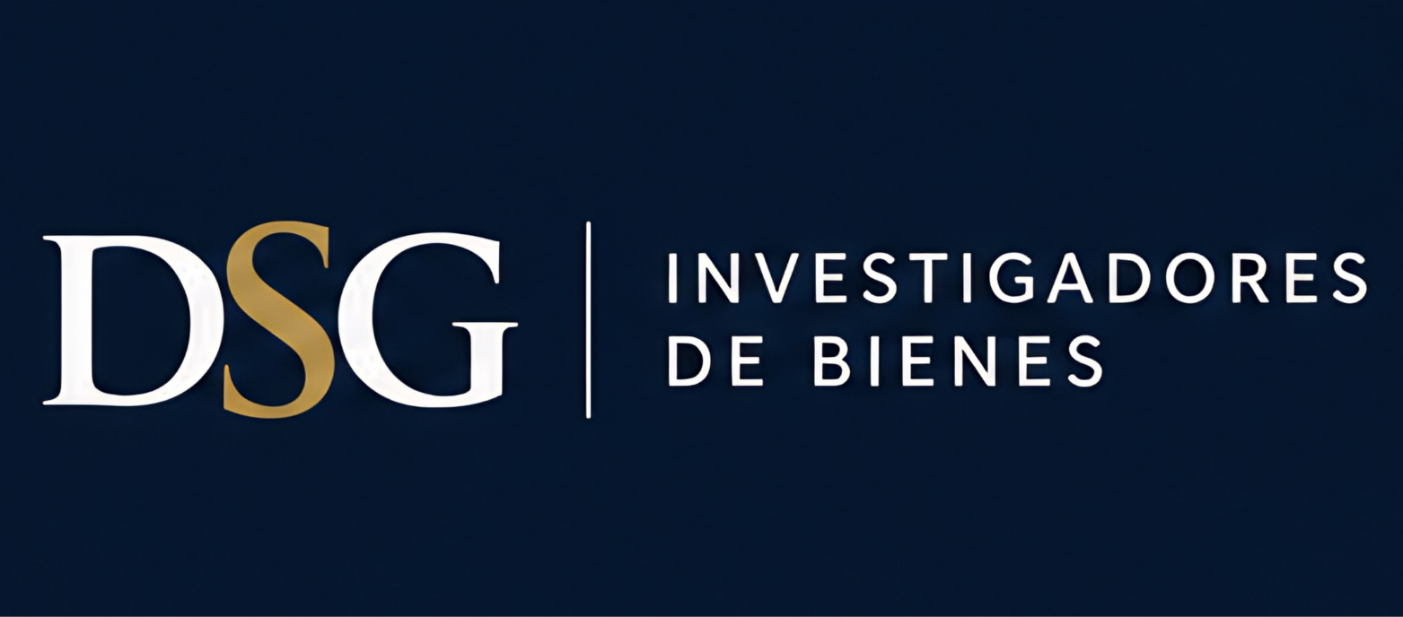 DSG Investigadores de Bienes